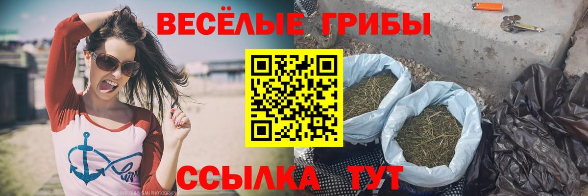 Рязань  Галлюциногенные грибы Psilocybine cubensis  Вход с VPN 